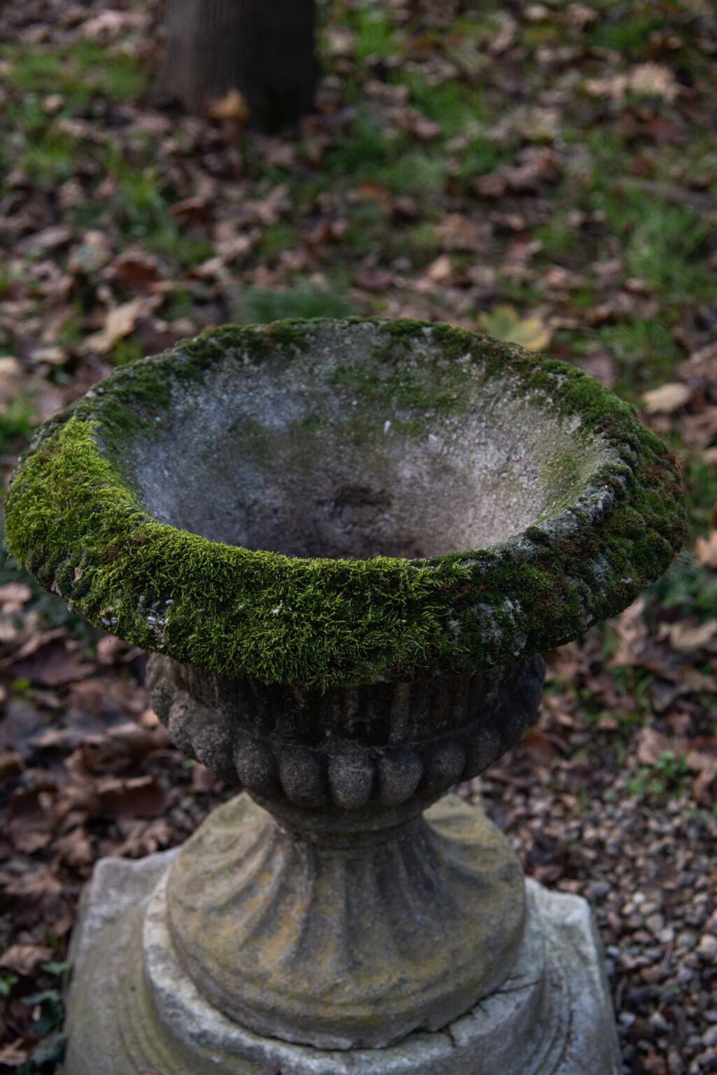 WhatsApp Image 2025-02-21 at 15.32.42 (1)