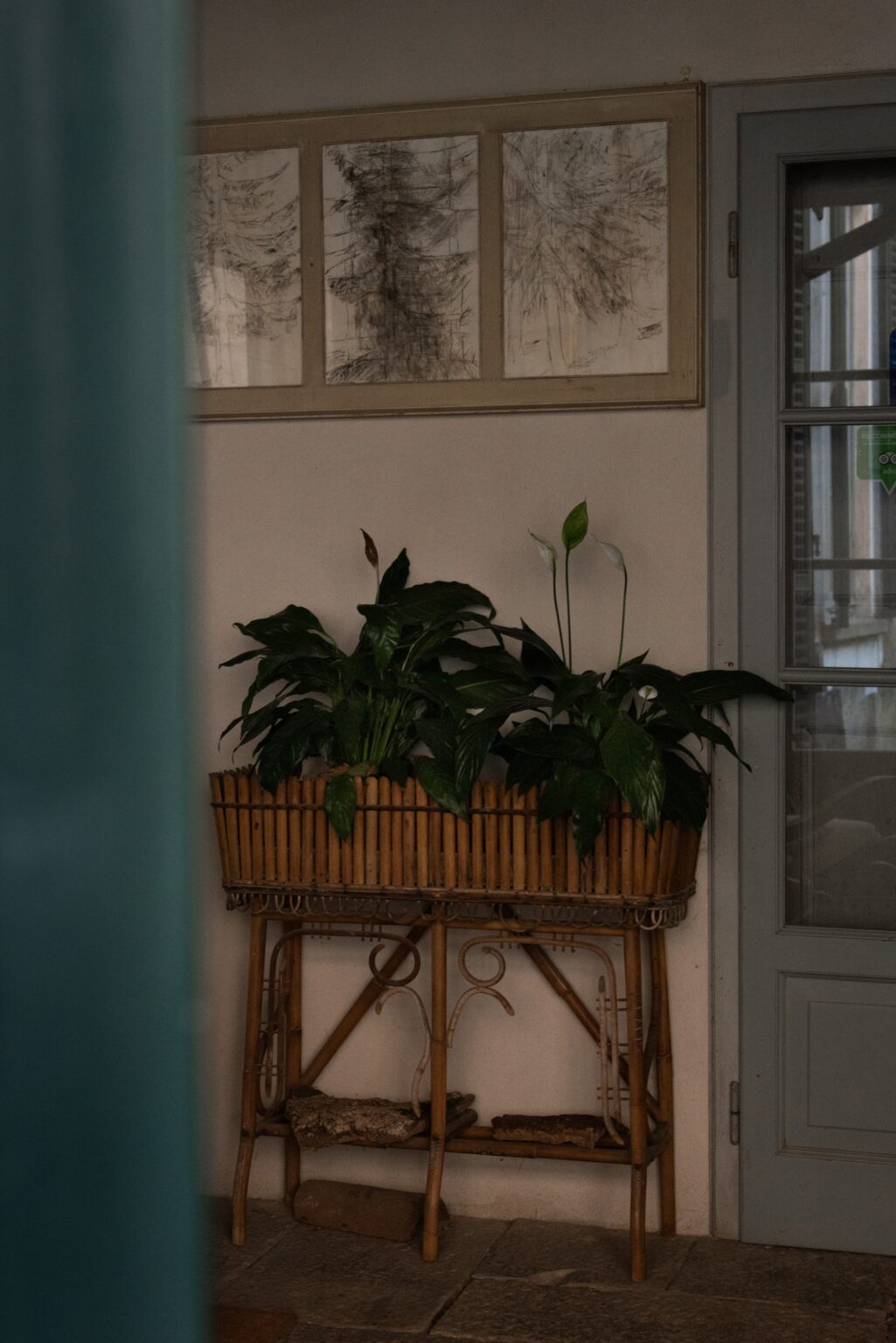 WhatsApp Image 2025-02-21 at 15.32.44 (3)