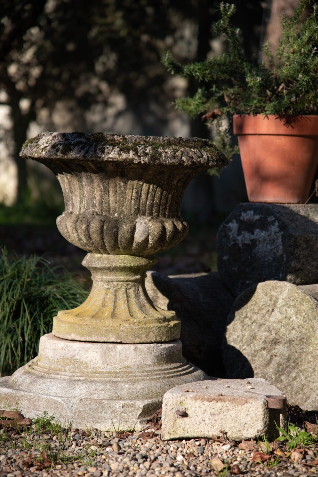 WhatsApp Image 2025-02-21 at 15.32.45